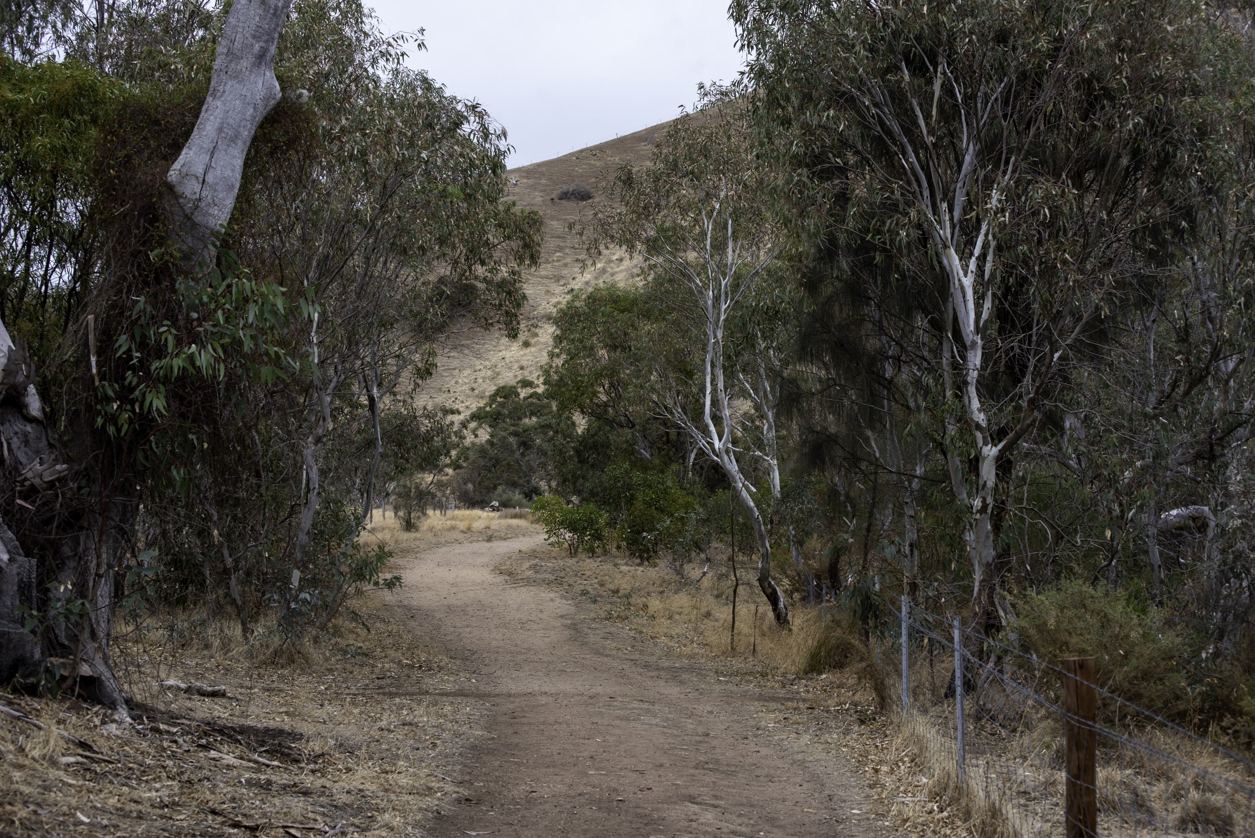 Normanville_Regional Experience_BIG Gorge Walk Normanville Big George Walk