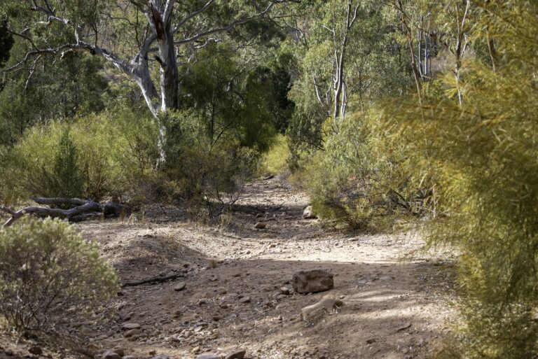 EHP Napperby Gorge