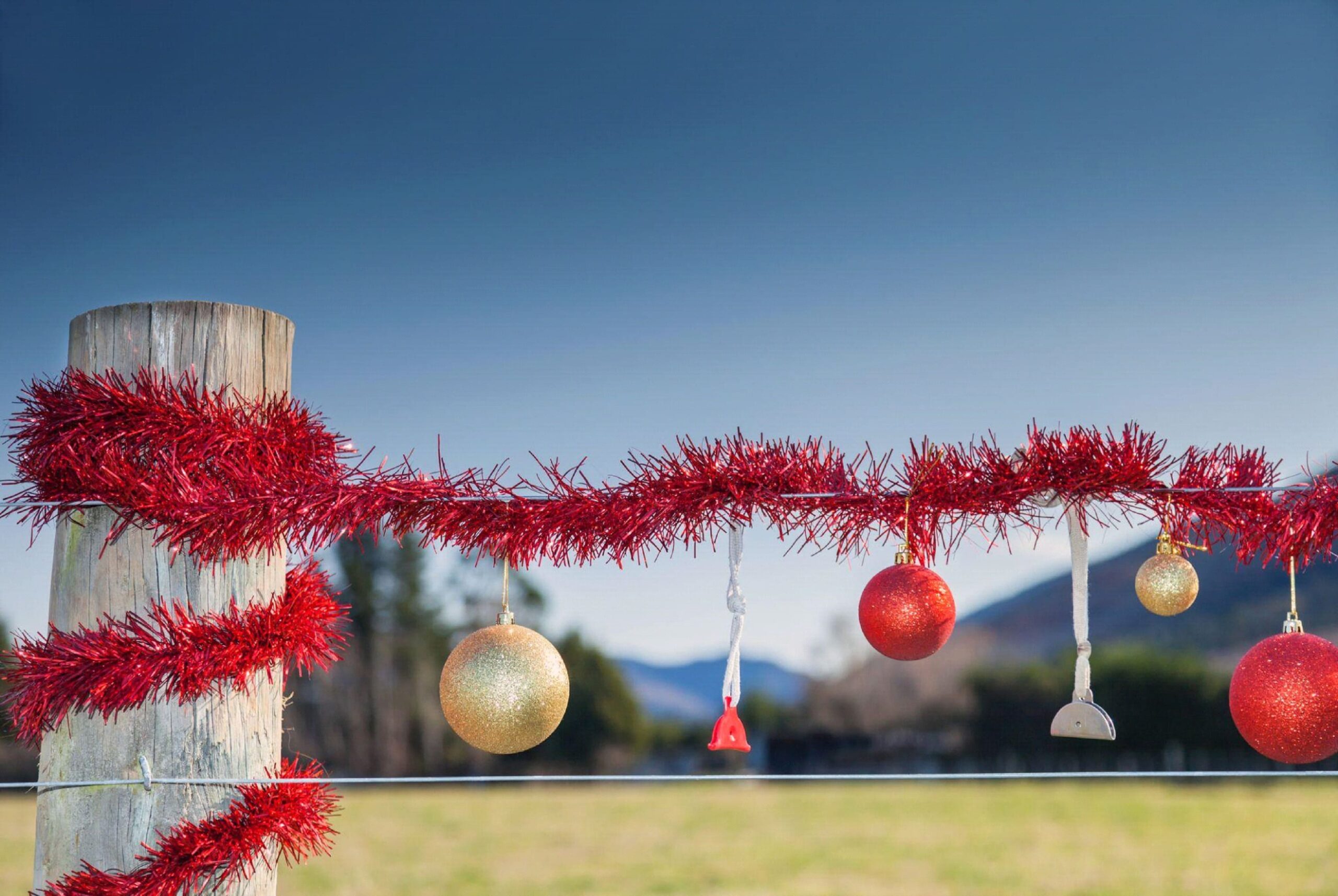 A Coastal Christmas with the Family
