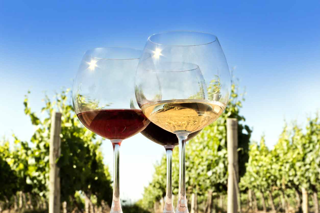 Top_Wineries_Near_Naracoorte Top_Wineries_Near_Naracoorte