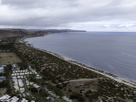 Beachside_Normanville-Pets In Parks Page