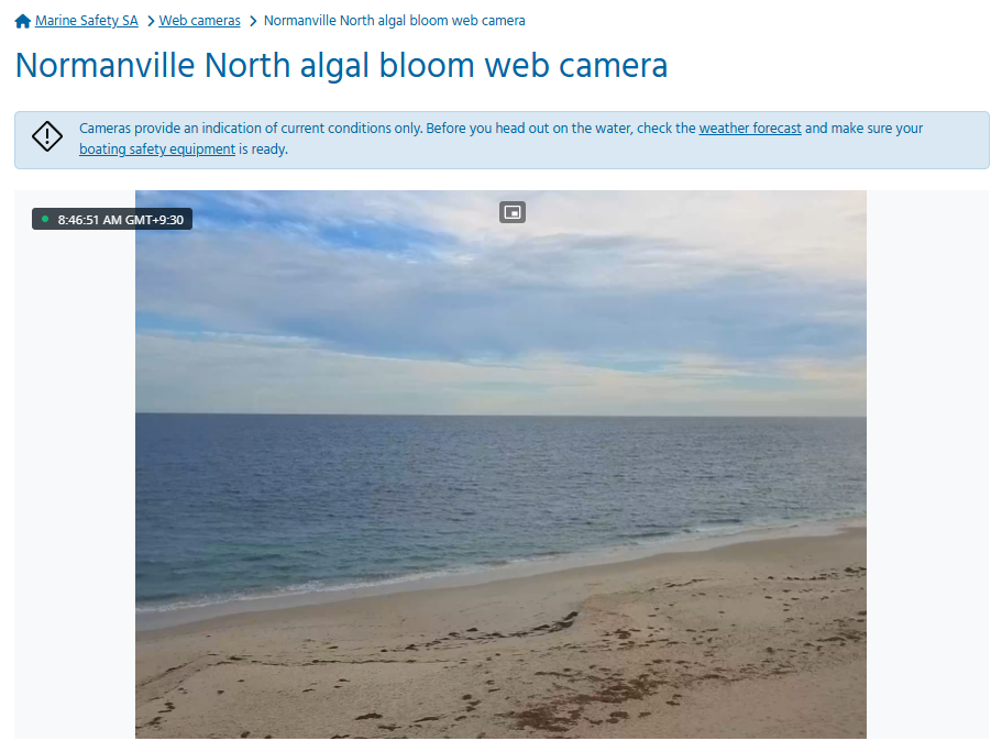 <a href="https://marinesafety.sa.gov.au/web-cameras/normanville-north-algal-bloom-web-camera"><b><img class="emoji" role="img" draggable="false" src="https://s.w.org/images/core/emoji/17.0.2/svg/27a1.svg" alt="➡️" /> Click Here to View the Live Marine Safety SA Normanville Webcam</b></a>