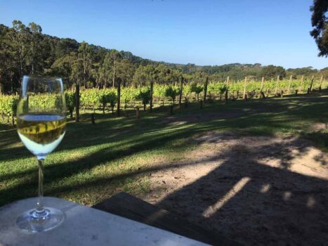 Best Holiday Park Accommodation Limestone Coast Wine Enthusiasts