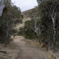 Normanville Big George Walk