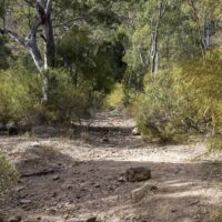 EHP Napperby Gorge