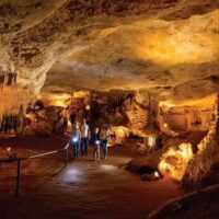 EHP Naracoorte Caves