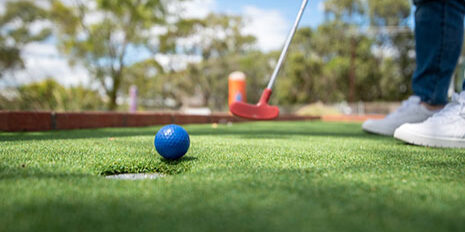 mini-golf